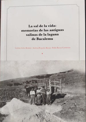 La sal de la vida : Memorias de las antiguas salinas de la laguna de Bucalemu