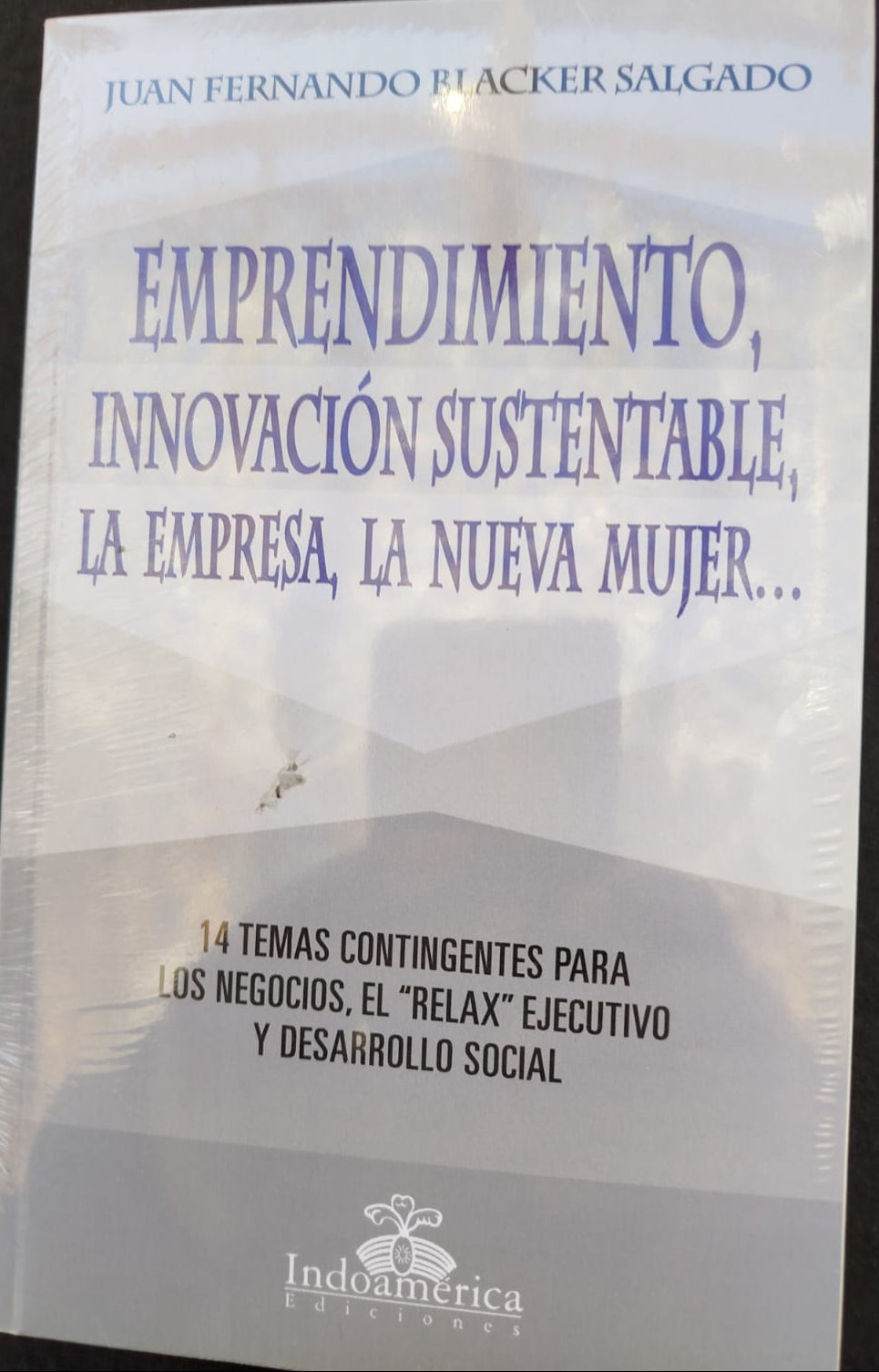 Emprendimiento, Innovación sustentable, la empresa, la nueva mujer