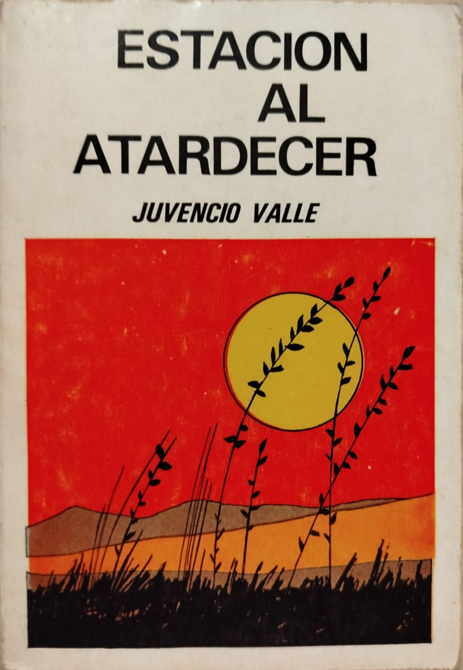 Estación al atardecer