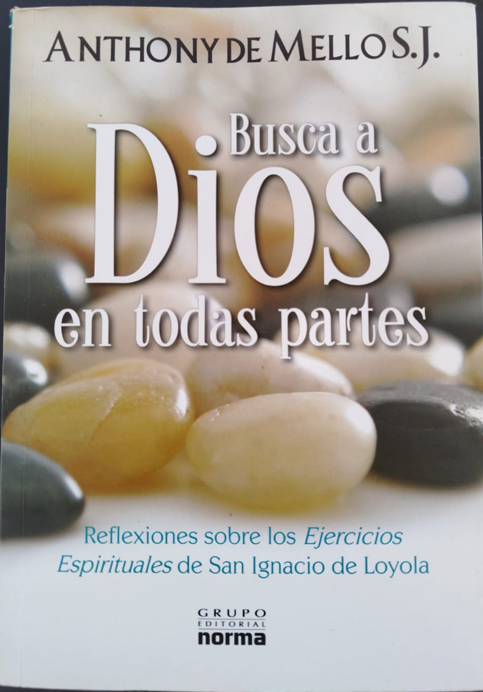 Busca a Dios en todas partes;  Reflexiones sobre los ejercicios Espirituales de San Ignacio de Loyola