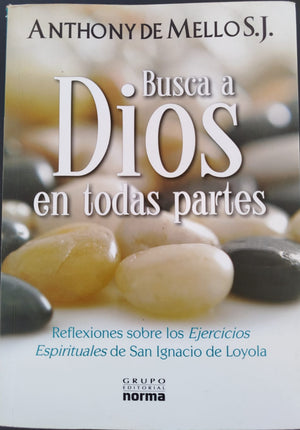 Busca a Dios en todas partes;  Reflexiones sobre los ejercicios Espirituales de San Ignacio de Loyola