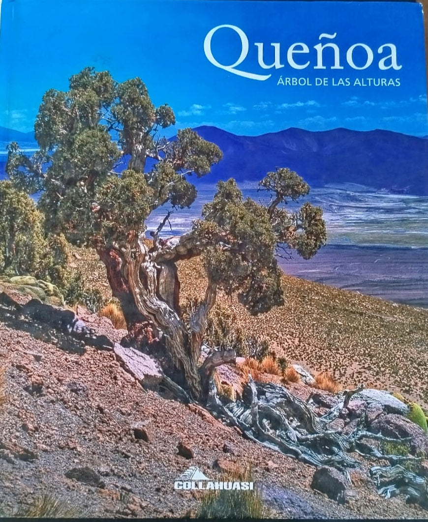 Queñoa , Árbol de las alturas