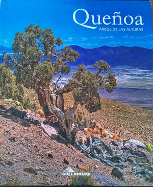Queñoa , Árbol de las alturas