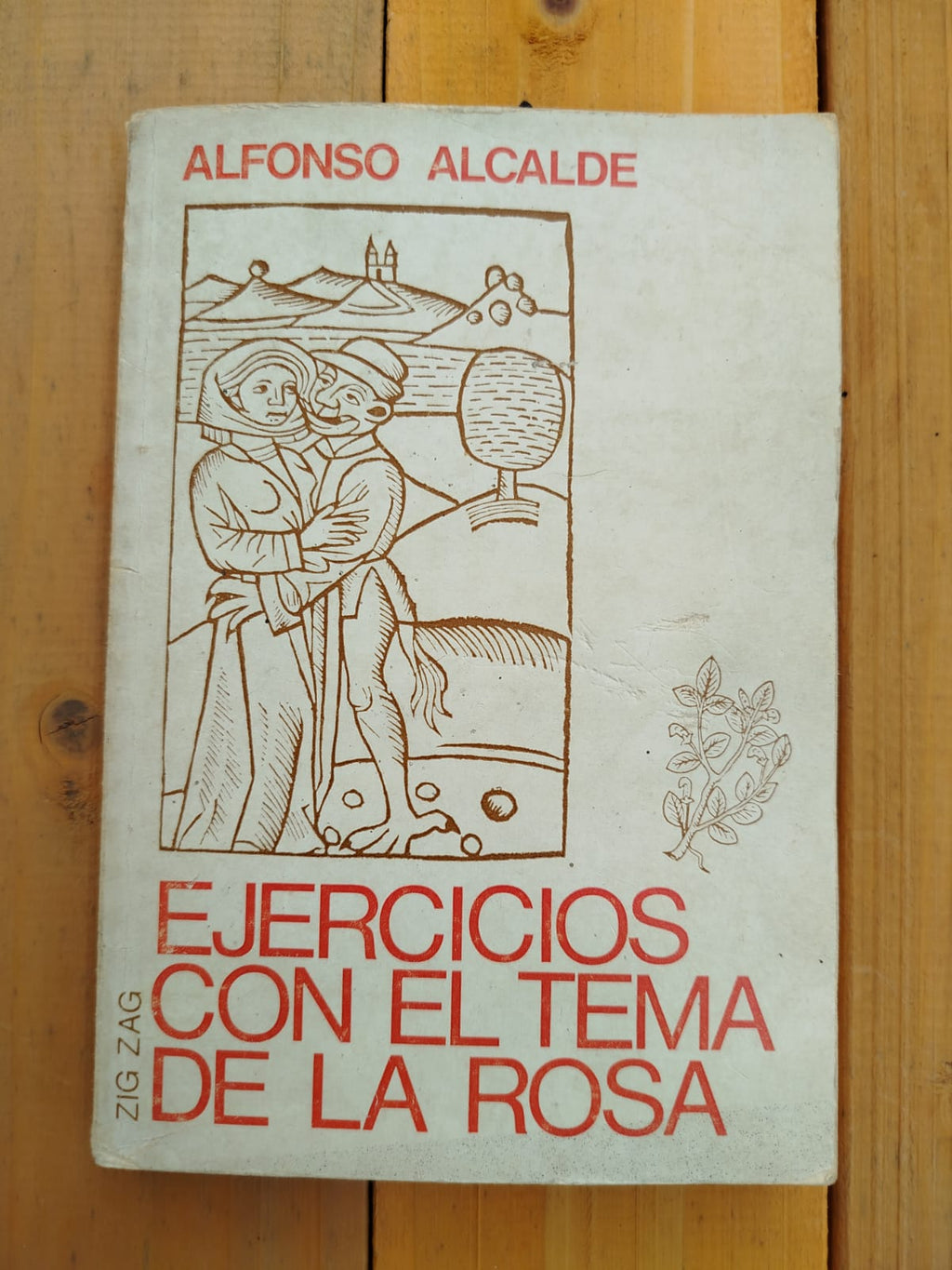 Ejercicios con el tema de la rosa  1° edición
