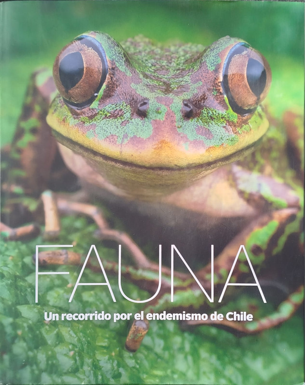 Fauna ; Un Recorrido por el Endemismo de Chile