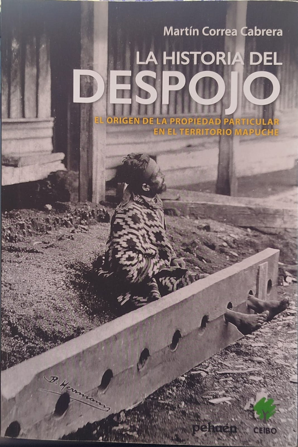 La Historia del Despojo , El origen de la propiedad particular en el territorio Mapuche