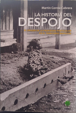 La Historia del Despojo , El origen de la propiedad particular en el territorio Mapuche