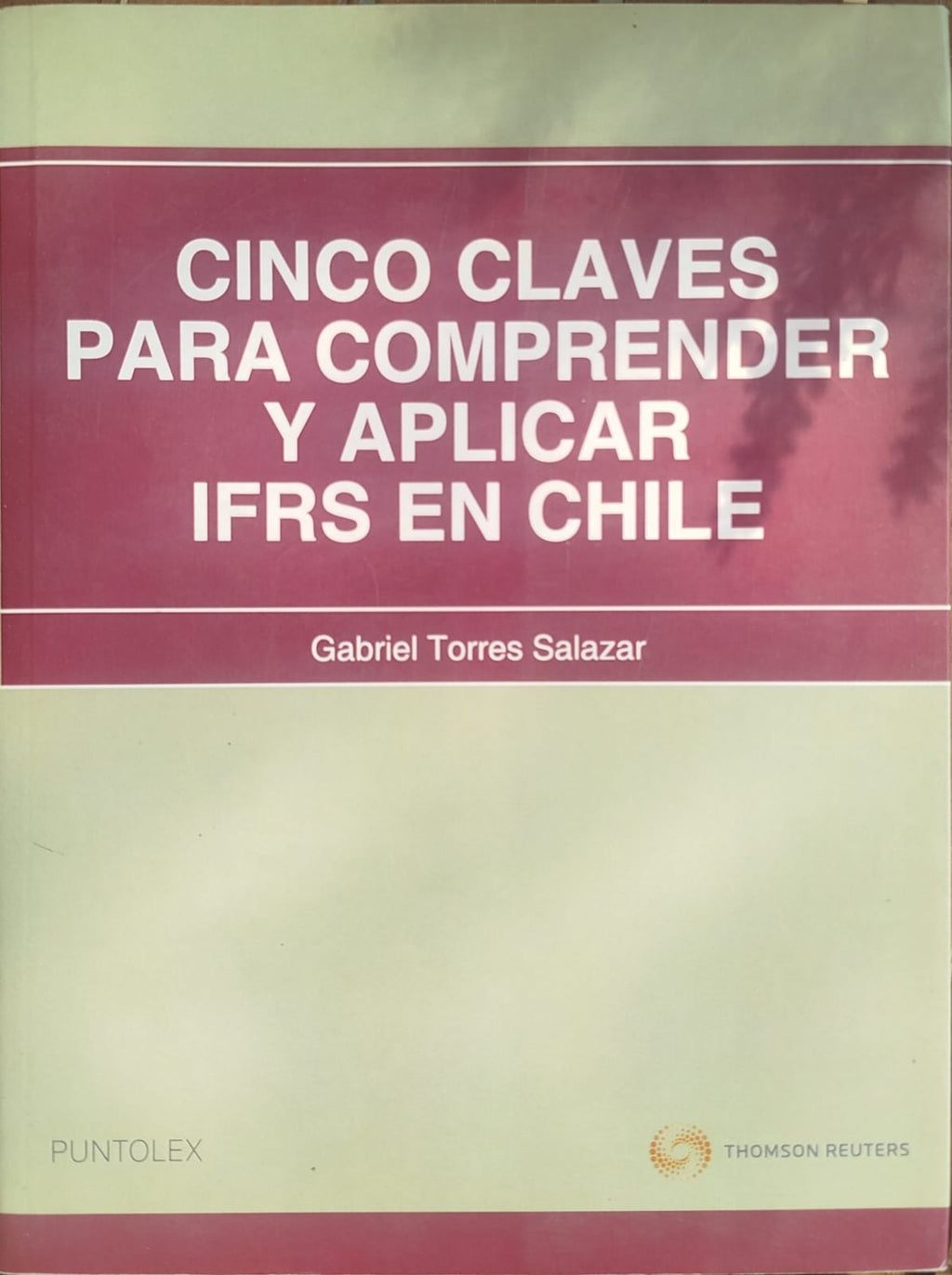 Cinco claves para comprender y aplicar IFRS en Chile
