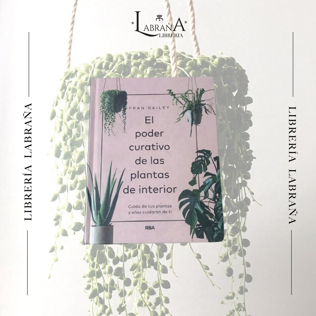 El poder curativo de las plantas de interior