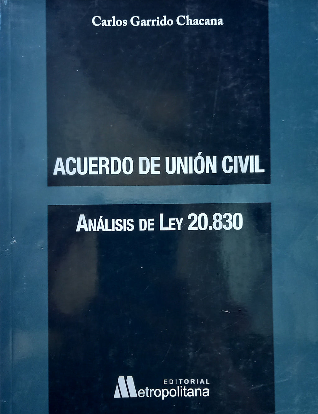 Acuerdo de unión civil, análisis de ley 29.830