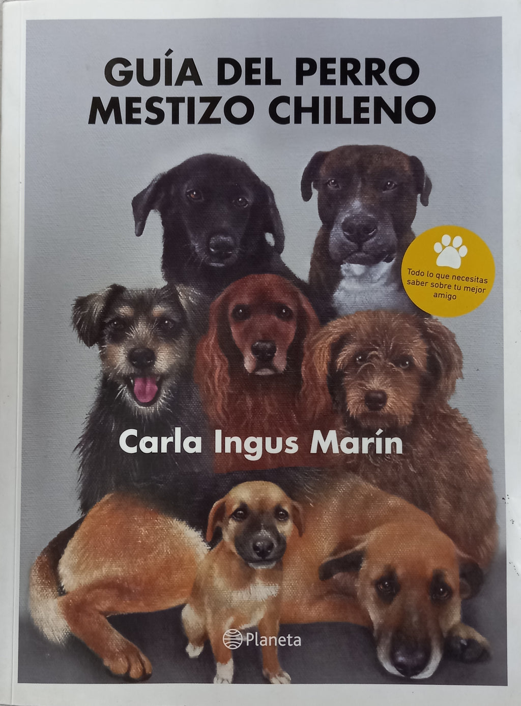 Guía del perro mestizo chileno