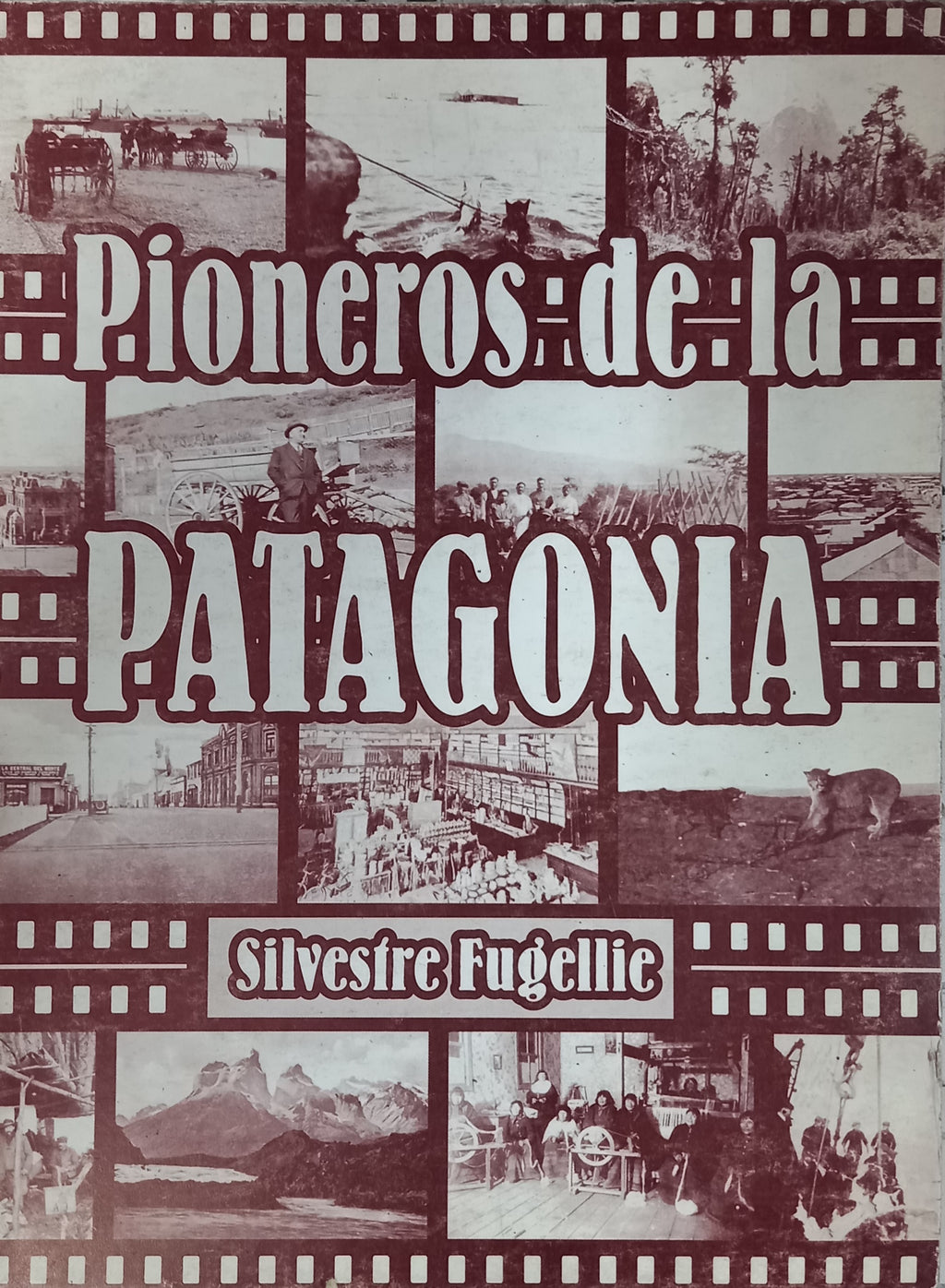 Pionero de la patagonia