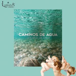 Caminos de agua / Los ríos de Chile