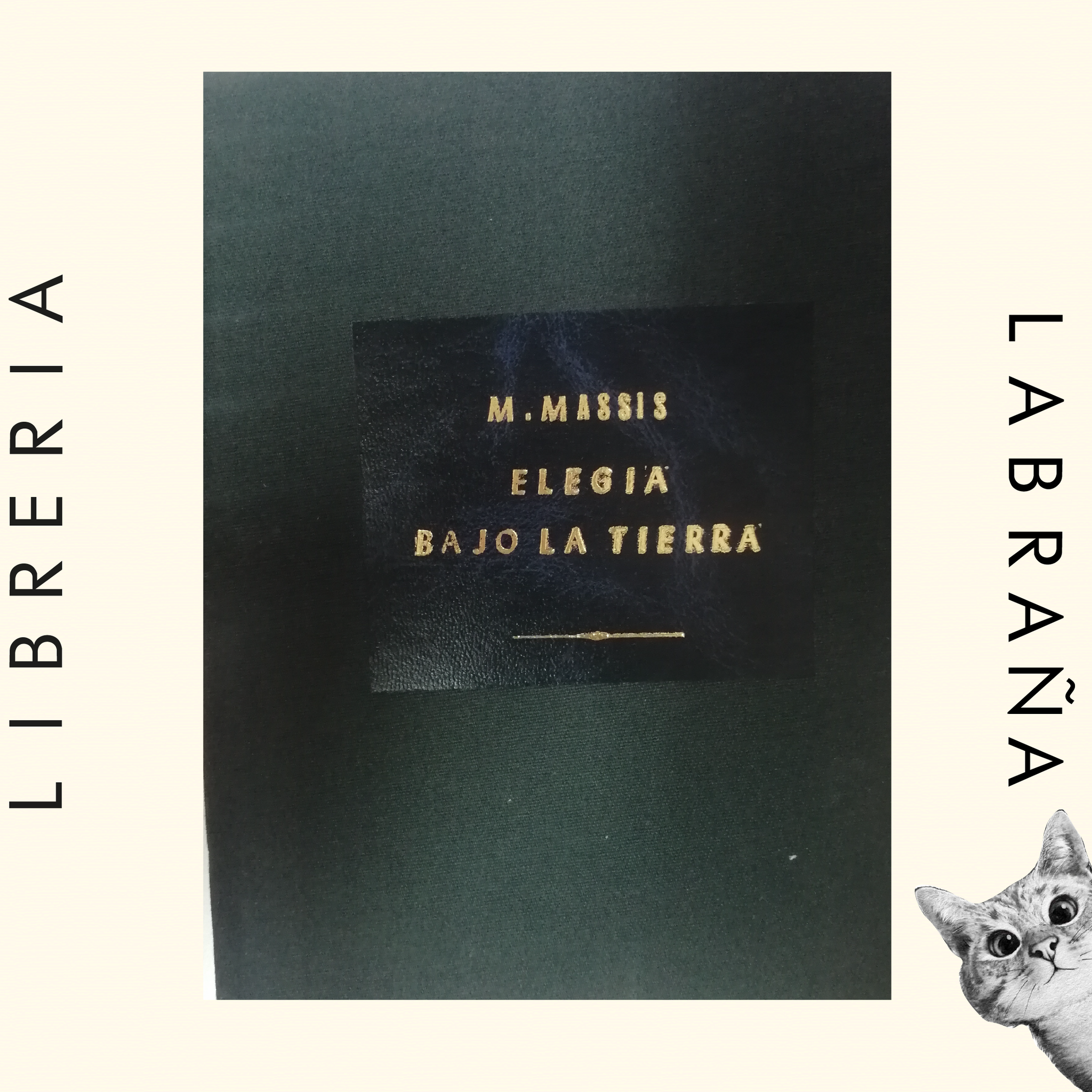 Elegia bajo la tierra