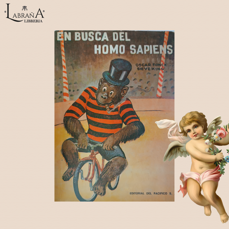 En busca del homo sapiens