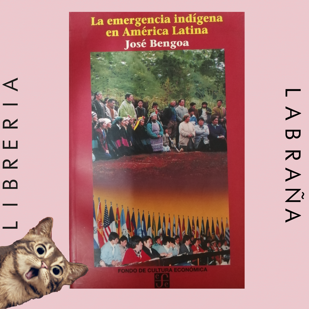 La emergencia indígena en América Latina