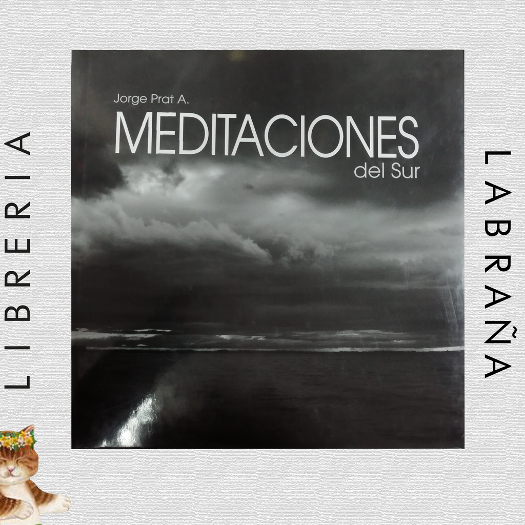 Meditaciones del sur