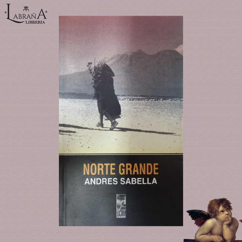 Norte grande