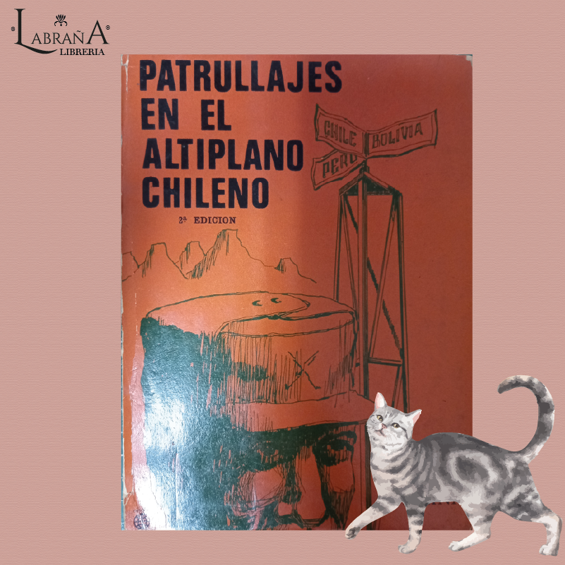 Patrullaje en el altiplano chileno