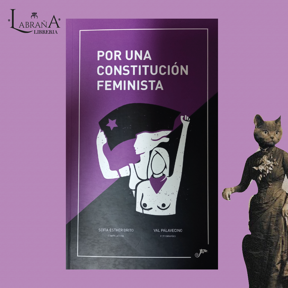 Por una constitución feminista
