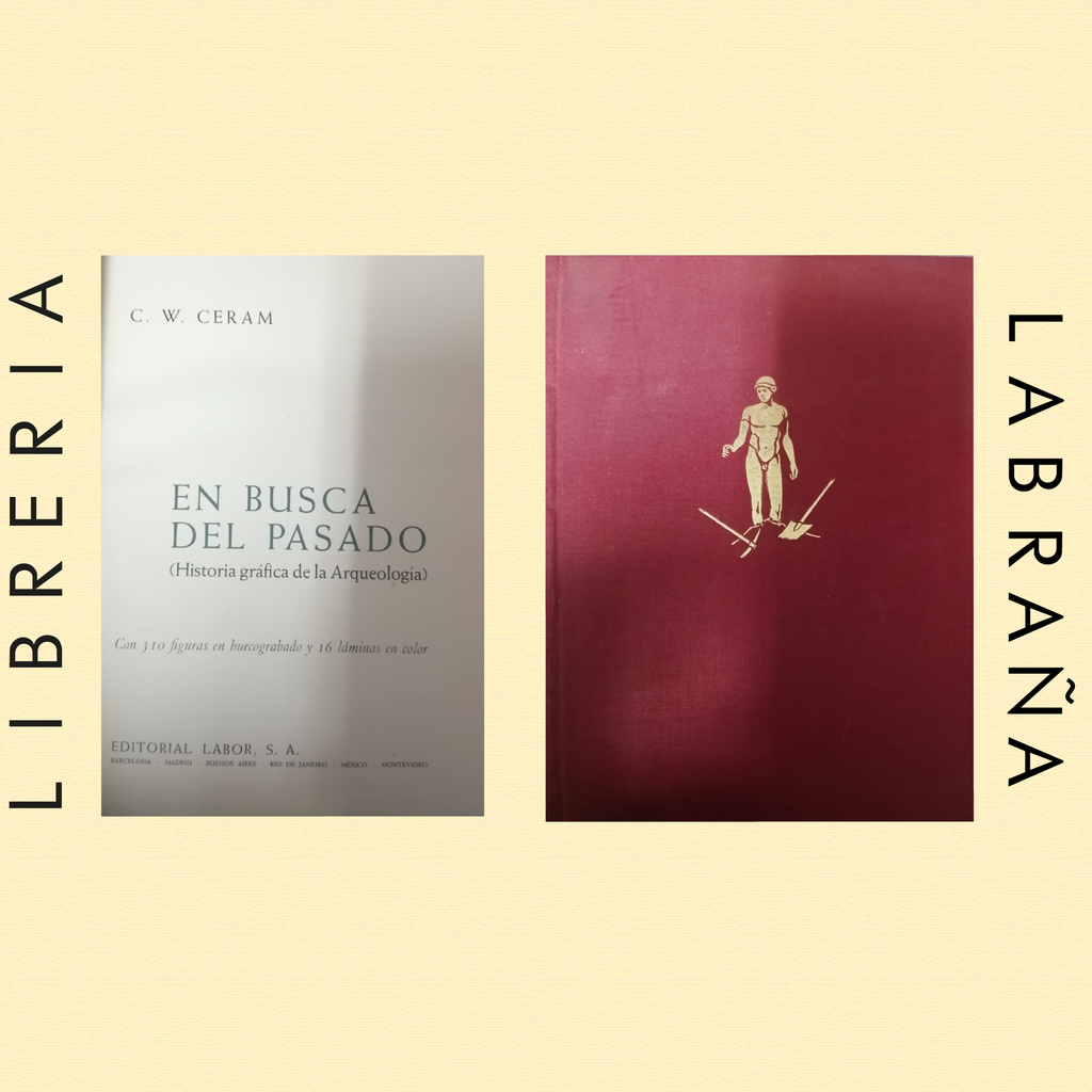 En busca del pasado, historia grafíca de la arqueología