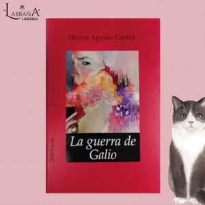 La guerra de Galio