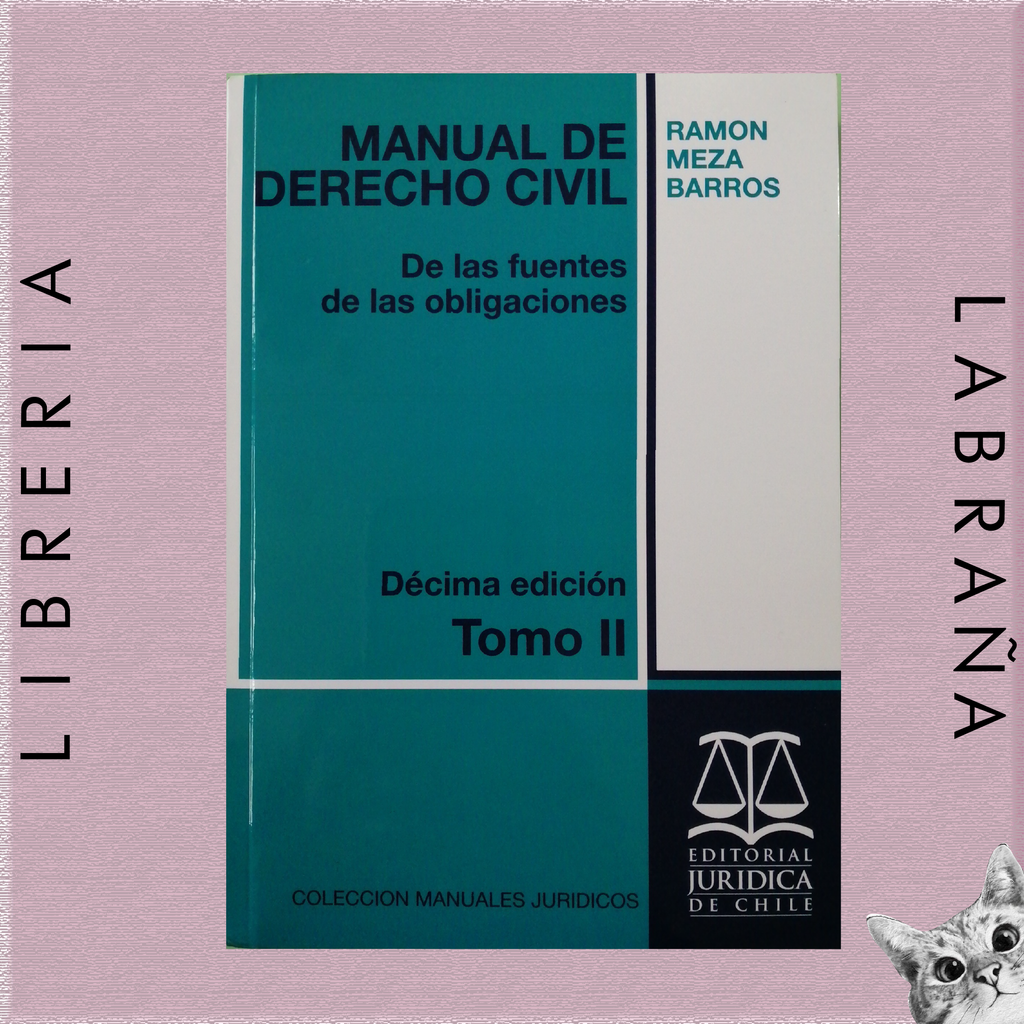 Manual de derecho civil, de las fuentes de las obligaciones