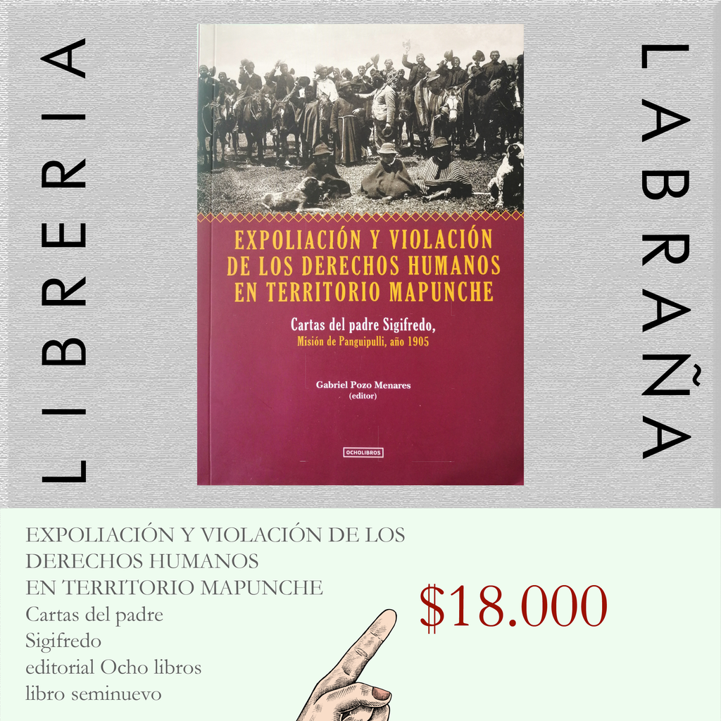 Expoliación y violación de los derechos humanos en territorio mapunche