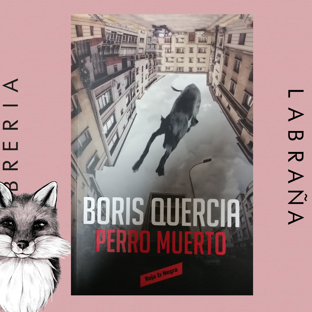 Perro muerto