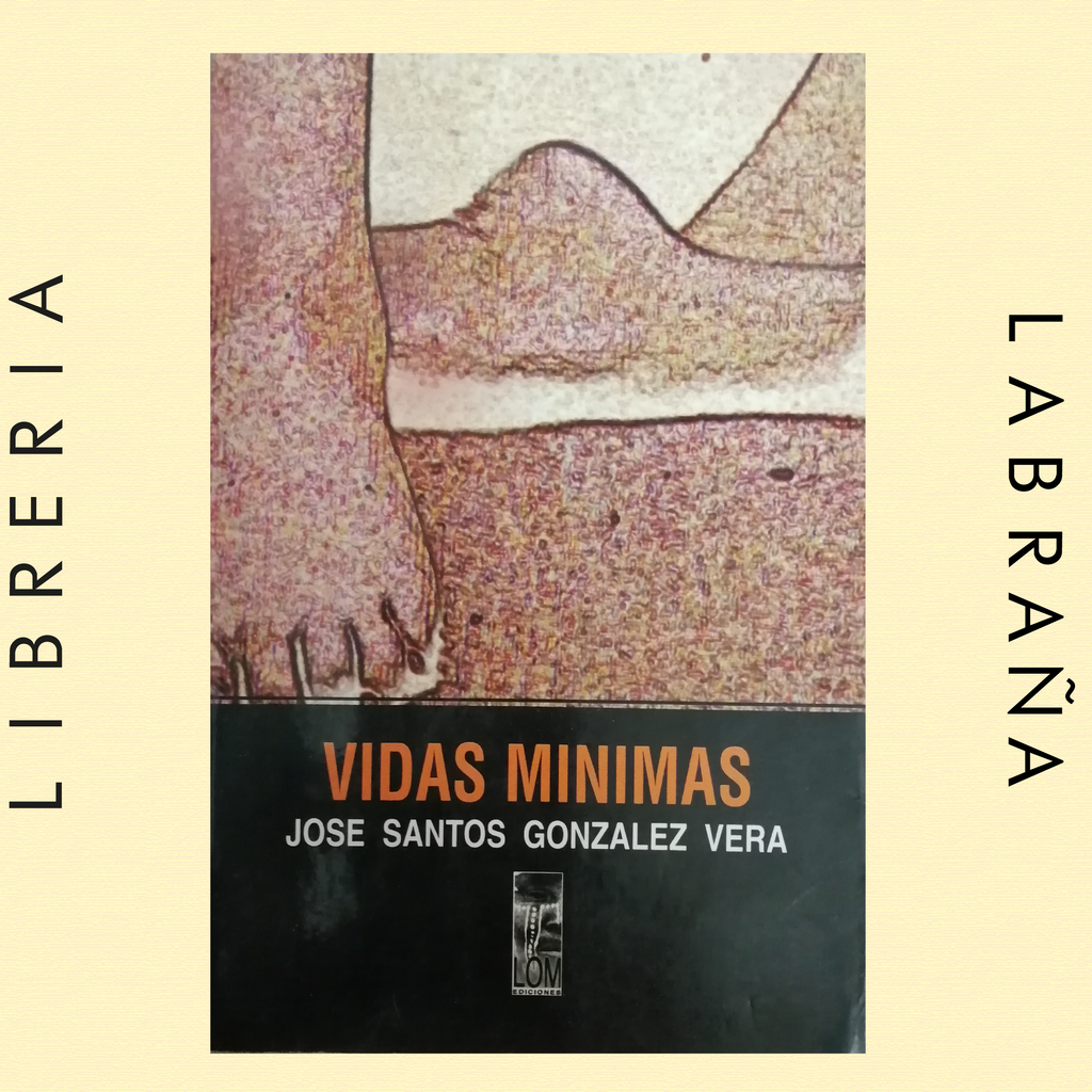 Vidas minimas